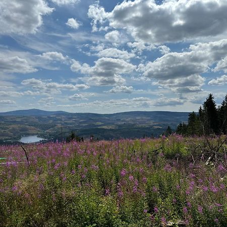 Apartmán Bergmannsruh Clausthal-Zellerfeld Exteriér fotografie