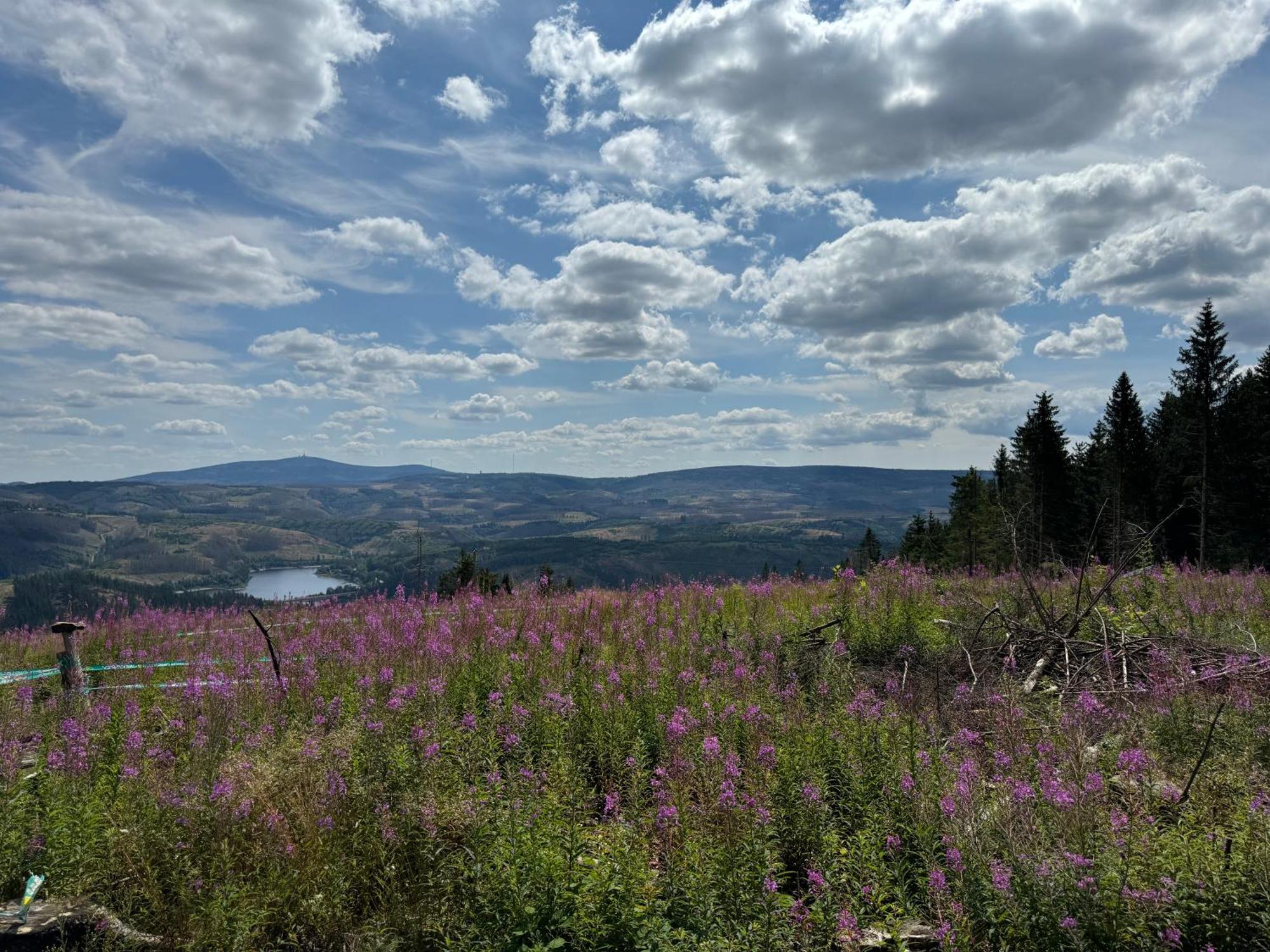 Apartmán Bergmannsruh Clausthal-Zellerfeld Exteriér fotografie